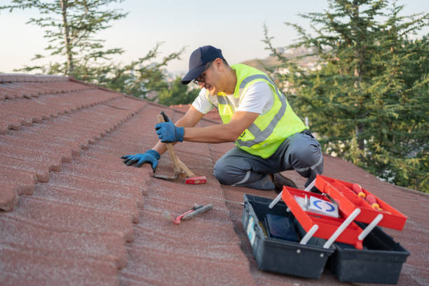 Best Flat Roof Repair Services  in Clever, MO